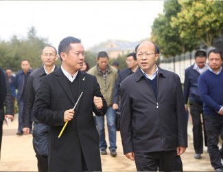 云南省委常委、副書記李秀領一行到苗鄉(xiāng)三七科技示范園考察調(diào)研