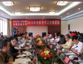 苗鄉(xiāng)三七與云南農(nóng)大簽署校企合作協(xié)議，構(gòu)建了戰(zhàn)略聯(lián)盟關(guān)系