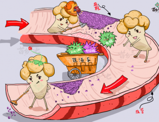 血瘀體質(zhì)的表現(xiàn)與癥狀，如何用三七活血化瘀