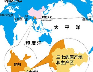 三七產(chǎn)地哪里的最好，廣西田七與云南三七有何區(qū)別