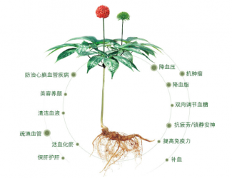三七救人無國界，美軍飛行員曾受益