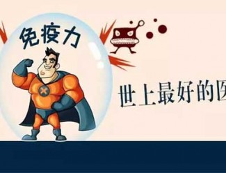 三七對免疫力的提升表現(xiàn)，長期服用提高免疫功能