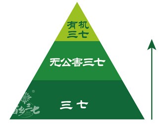 三七有幾個等級？分級依據(jù)是什么？