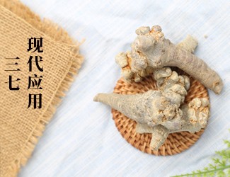 三七的功效作用在現(xiàn)代臨床中的應(yīng)用，揭秘醫(yī)生如何用三七治病
